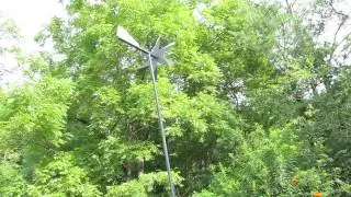 harbor freight mole chaser  video 2, update