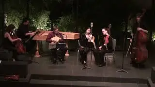 Vivaldi's Lute Concerto, RV93 Allegro
