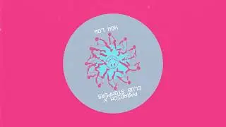 PARADIGM X - How Low