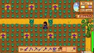 Late Night Cozy Stream | Stardew Valley #stardewvalley #gaming