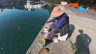 20年ぶりに祖父と釣りに行きました