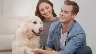 Calming Dog Collar Pheromones 🧘&zwj;♂️🐶 | 4-Pack for Anxiety & Stress Relief | Lasts 60 Days