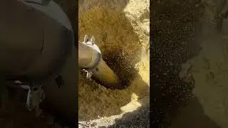 Hydro excavation, high pressure water and vacuum to remove soil and clay. #shorts #water #vacuum