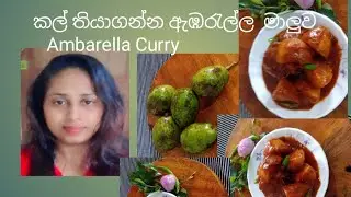 කල් තියාගන්න ඇඹරැල්ල මාලුව Ambarella cerry (Ishu  Carft And Life )
