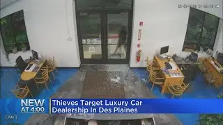 Thieves target luxury car dealership in Des Plaines
