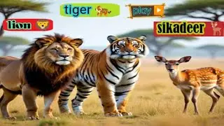 Tiger ko kha Gai loin deer 🦌 January hunter 🎮2026#tigar#huntingnew