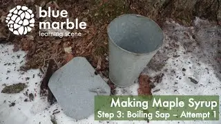Making Maple Syrup | Step 3 Boiling the Sap | Attempt 1 | blue marble learning scene