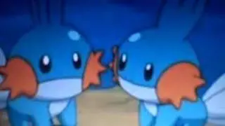 so i herd u liek giggity mudkipz
