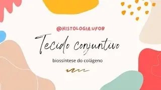 Histologia do Tecido Conjuntivo e Bioss&iacute;nteses do col&aacute;geno