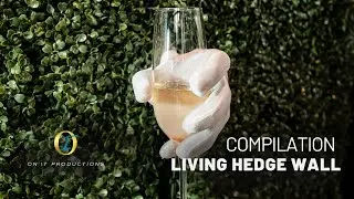 Interactive Living Champagne Hedge Wall for Weddings and Events