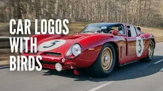 These are All The Car Logos with Birds