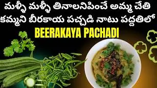 మళ్ళీ మళ్ళీ తినాలనిపించే అమ్మ చేతి కమ్మని బీరకాయ పచ్చడి నాటు పద్దతిలో - BEERAKAYA PACHADI