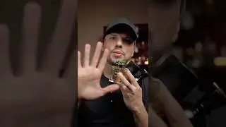 5 Топ Парфюмов на Лето