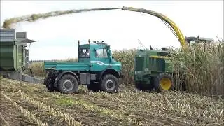 Maisernte | Maishäckseln 2017 mit Magnum 7220, JD 7710, Unimog U1600, JD 6710, JD 6310, MF 6170