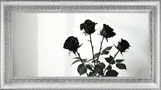 Black Roses Minimal Wall Art 🖤 | 2 Hour 4K TV Art for Samsung Frame TV