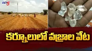 కర్నూలులో వజ్రాల వేట | Diamonds Found In Jonnagiri Kurnool District | Diamond Hunt In Kurnool | TV5