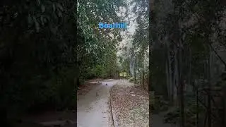 hiking trails at BearHill