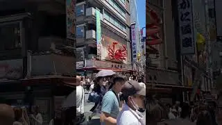 Japan / Osaka @Hamusuke-japanese