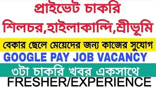 Google Pay Job Vacancy|Local Job Update|Silchar Private Job Vacancy|Private Job Vacancy|Karimganj 