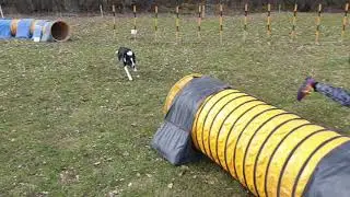 Corona Agility Cup  - Outbreak ( updated movie)