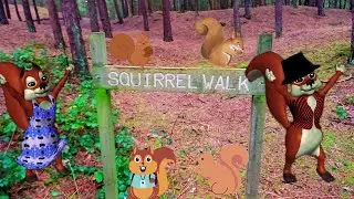 Squirrel wood walk kids content The souls of a new generation