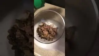 No more picky eaters with pawTree pawPairings Superfood Seasonings for dogs and cats!