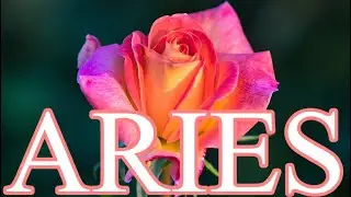 ARIES WEEKLY LOVE TAROT READING FOR MARCH 22 2021&rdquo; YOU MANIFEST YOUR SPECIFIC PERSON ❤️❤️❤️💜💜💜💗💗💗💙💙💙