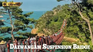 WALK TOUR | Daewangam Suspension Bridge | Ulsan, South Korea