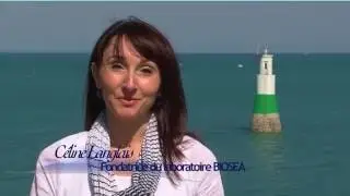 Косметика BIOSEA - Представление компании Laboratory BIOSEA, интернет-магазин, www.bs-cosmetics.ru
