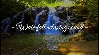 ESCAPE: Immersive Forest Journey | Relaxing Piano & Nature Soundscape