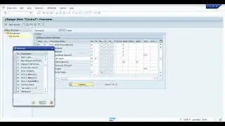 Free Goods in SAP (Hindi) Exclusive Free goods and Inclusive Free Goods .