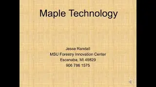 From Woods to Tank: different options to get maple sap