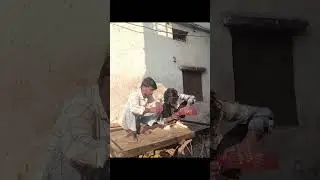 #देख रही है 🤣🤣😓#shortvideo #funny #suscribekro #liks #shere
