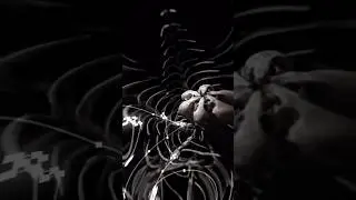 #touchdesigner #aesthetic #generativeart #electronicmusic #mediaart #music #art #generative