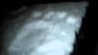 Actual footage of a yeti hunt in London