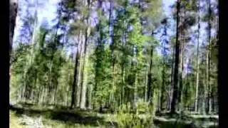 RK 95 TP 7.62 FPS