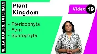 Plant Kingdom | NEET | Pteridophyta - Fern - Sporophyte | Neela Bakore Tutorials