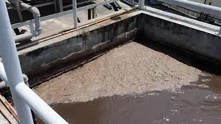 Excessive Floating Sludge from Nacordia Growth (high Influent FOGs)