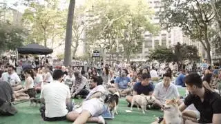 BarkFest 2014