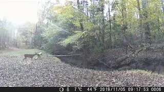 Trail Game Camera 16MP 1080P, 0 4s Trigger Speed Scouting Hunting Cams with Night Vision Motion Acti