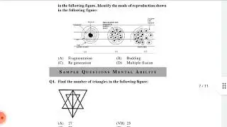 International talent hunt examination of previous questions paper and class 10