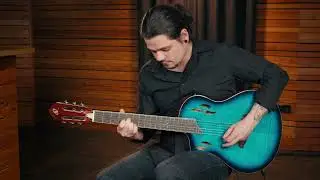 Ortega Guitars - Nylon String Guitar, left-handed, TourPlayer Series (RTPDLX-FMA-L)