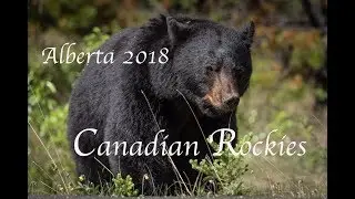 Alberta Canada - Canadian Rockies Travel Photography Location Guide and Highlights
