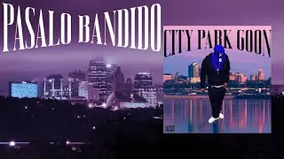 PASALO BANDIDO - Alexis Hdez (Visualizer)