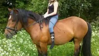 ~The best rent a pony~