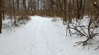 My Walk with Pixel