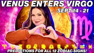 Venus in Virgo 2025 ✨ Love & Money Insights for All 12 Signs