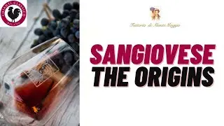 Sangiovese: The Origins