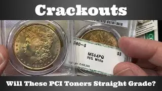 Crackouts - Will These PCI Holder Rainbow Toning Morgan Dollars Straight Grade? - PCGS Open Box