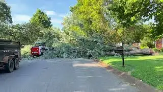 Tree Felling and Clearing it off of the road and customer's property